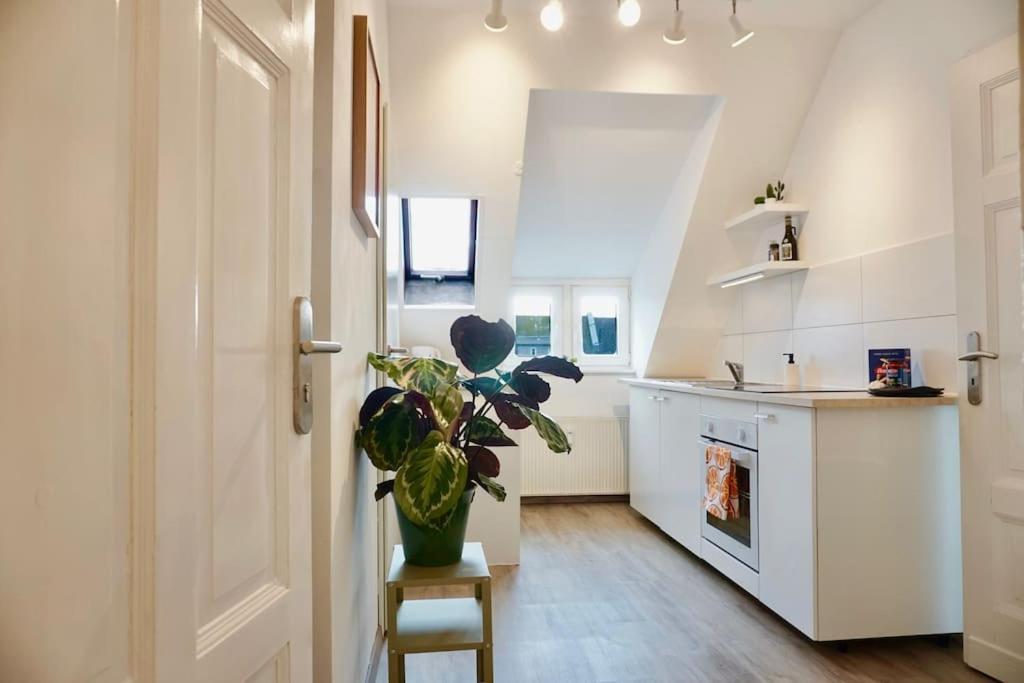 Neu I Moderne Zentrale Wohnung I Netflix I 4 Gaeste 安德纳赫 外观 照片