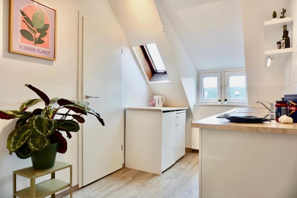 Neu I Moderne Zentrale Wohnung I Netflix I 4 Gaeste 安德纳赫 外观 照片
