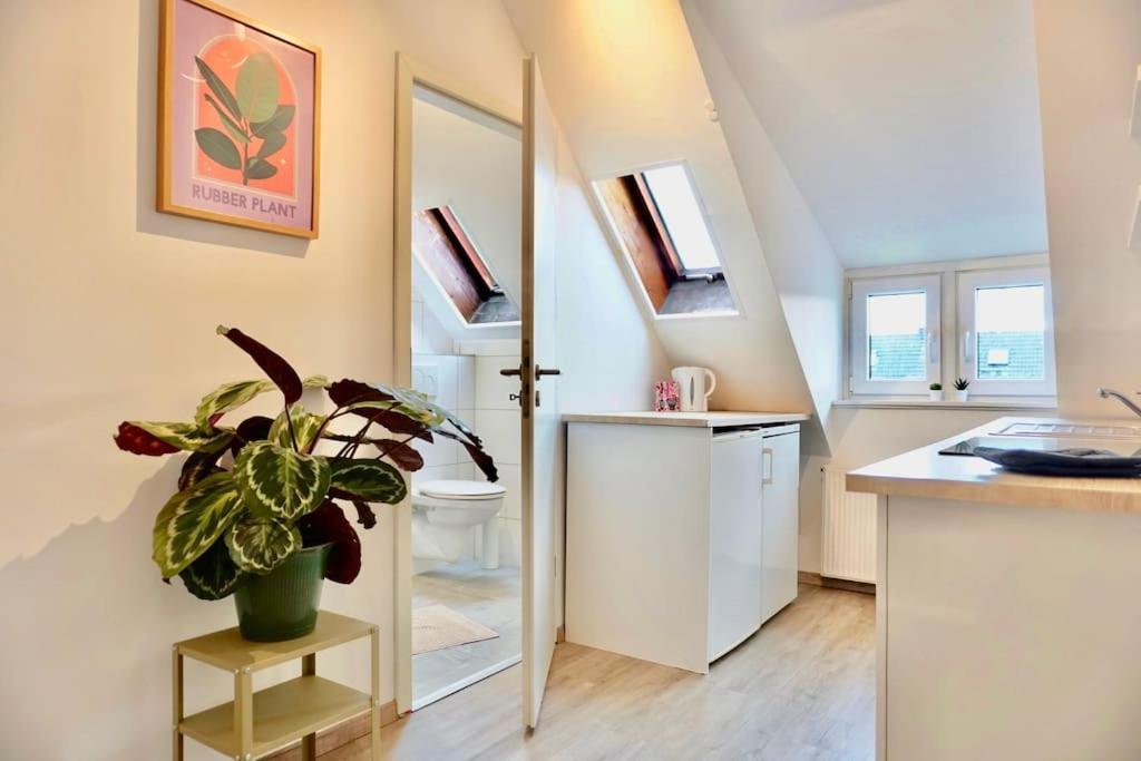 Neu I Moderne Zentrale Wohnung I Netflix I 4 Gaeste 安德纳赫 外观 照片